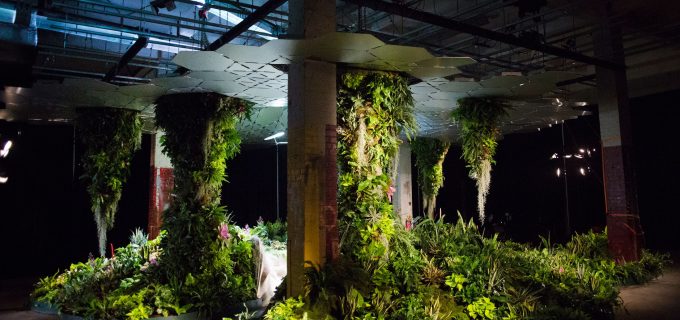Lowline Lab