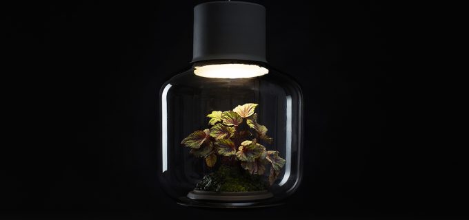 Mygdal Plantlight