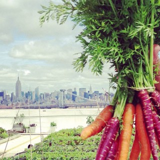 Brooklyn Grange